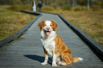 The 5 Best 300Ah LiFePO4 Batteries of 2025 — Long-Lasting, Safe, and Reliable