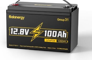 12V 100Ah LiFePO4 1280Wh Rechargeable Battery review
