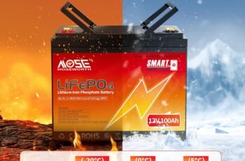 12V 100Ah LiFePO4 Battery Built-in BMS review