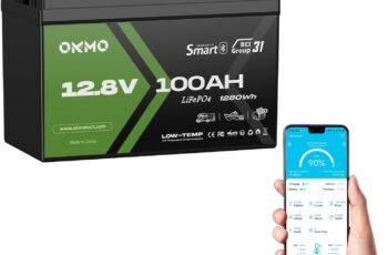 OKMO 12V 100Ah LiFePO4 Battery review