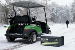 48V 100Ah Bluetooth Lithium Battery review