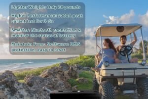 48V 100AH Lithium Battery review