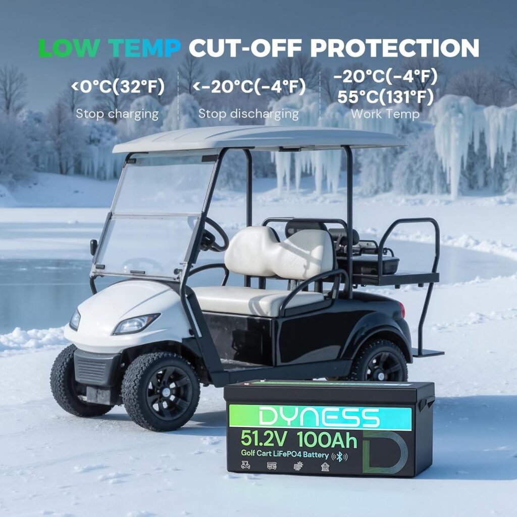 48V 100Ah Lithium Golf Cart Battery with 48V 18A Lithium Batteries Charger, 10.24kW Peak Power  4000+ Cycles, Smart 200A BMS, LCD Monitor  App Compatible for Golf Cart