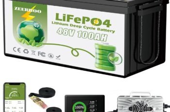 48v Lithium Battery Golf Cart review