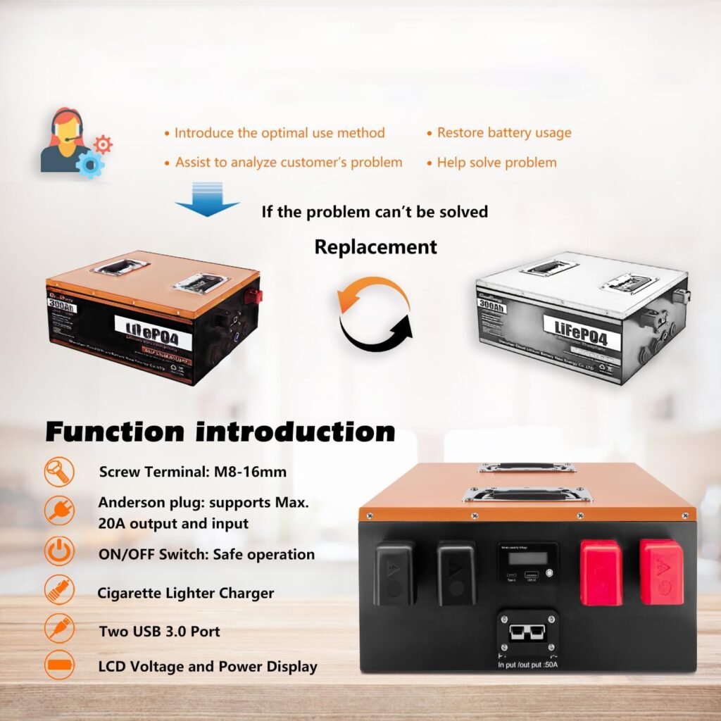 Cloudenergy LiFePO4 Battery 12V 300Ah 3.84kWh Deep Cycle with Longer Runtime, Built-in 100A BMS, 6000+Cycles  10 Year Lifetime, Perfect in Solar/Energy Storage System, RV, Marine, Backup Power.