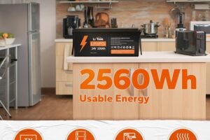 LiTime 24V 100Ah LiFePO4 Battery review