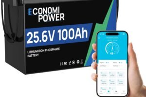 Smart 48V Lithium Golf Cart Battery review