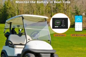 48V 100Ah Lithium Battery with Touch Monitor review