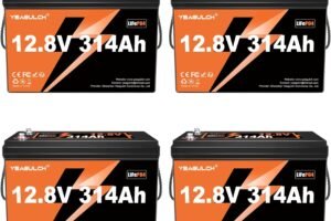 48V 100Ah Lithium LiFePO4 Battery review