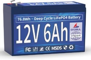 12V 6Ah LiFePO4 Lithium Battery, 6A BMS 76.8W Output Power, 4000+ Deep Cycles & 10 Years Lifetime, Low Self-Discharge, for Fish Finder, Toy Car, Security Camera, Camping, Garage Door Opener, Solar