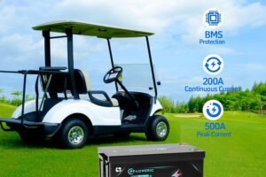 48V 100Ah Golf Cart LiFePO4 Battery, 10240W Output, 200A BMS, Perfect for Golf Cart, RV, Off Grid