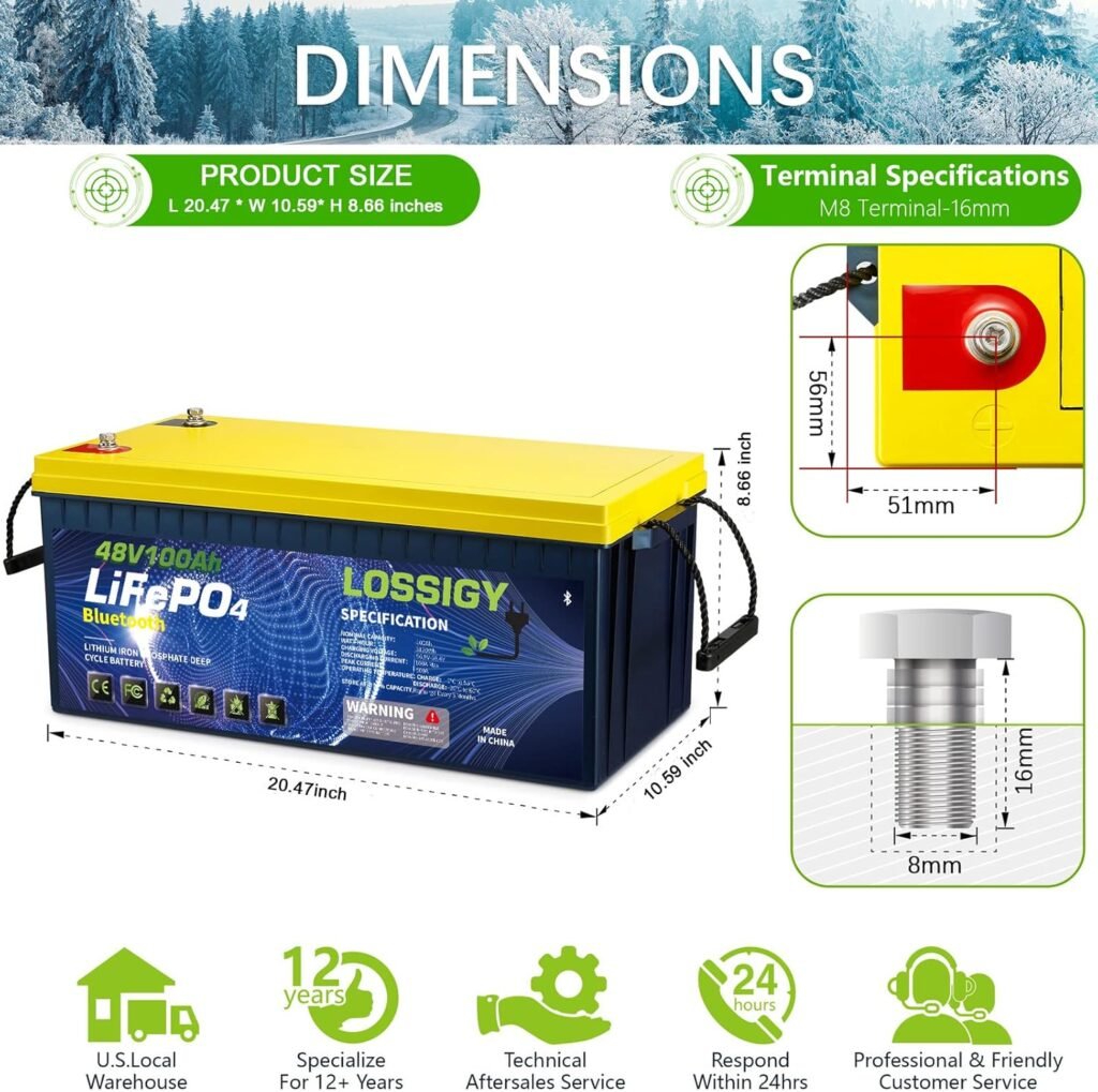 LOSSIGY 48V Lithium Golf Cart Battery, With 18A Charger  LCD Mobile Monitor,100Ah LiFePO4 battery with 200A BMS,10.24kW Output, 1000A Peak Current,Perfect for Golf Carts,RV Solar System