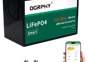 OGRPHY 48V Lithium Golf Cart Battery, with 18A Charger, Touch LCD Monitor, 200A BMS, 1000A(3-5) Peak Current 10 Yrs Lifespan Perfect for Golf Cart, Trolling(51.2V 105AH)