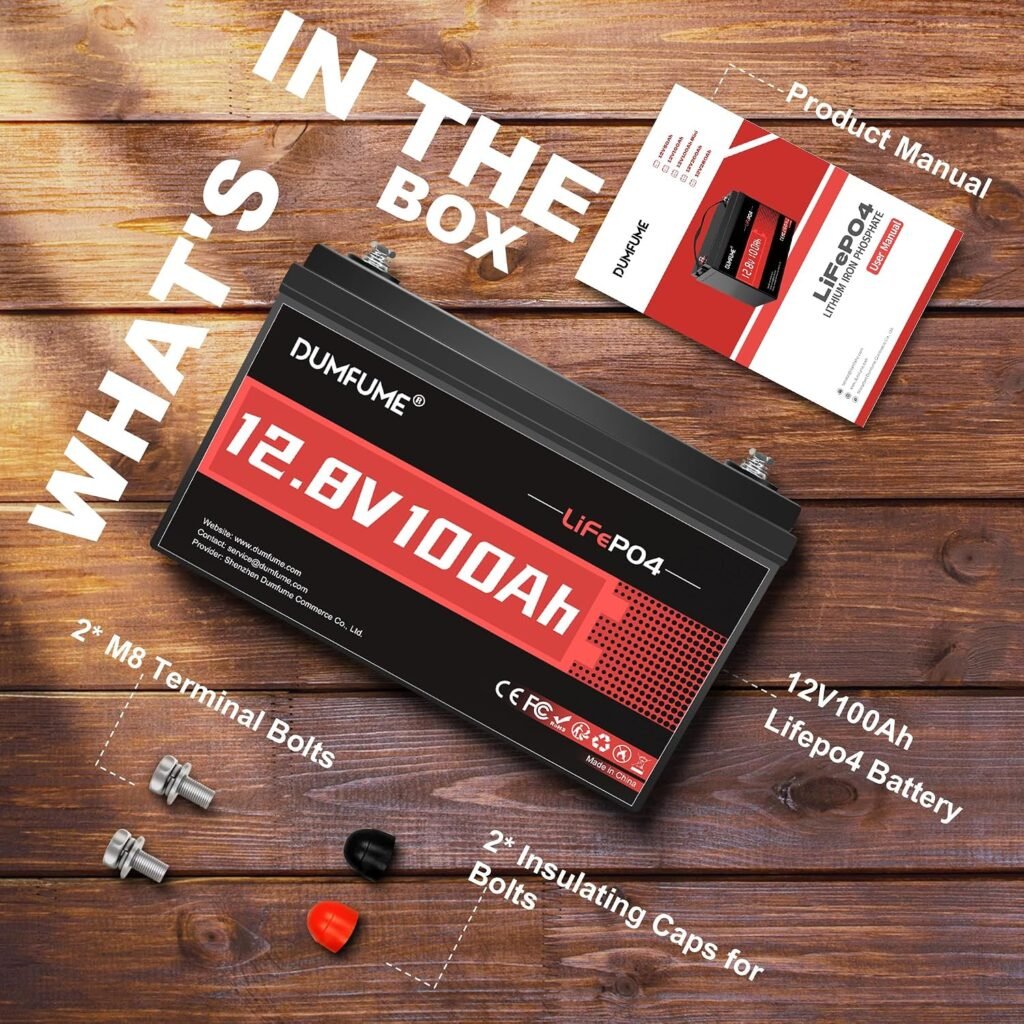 12V 100Ah LiFePO4 Battery Group Lithium Battery 100A BMS