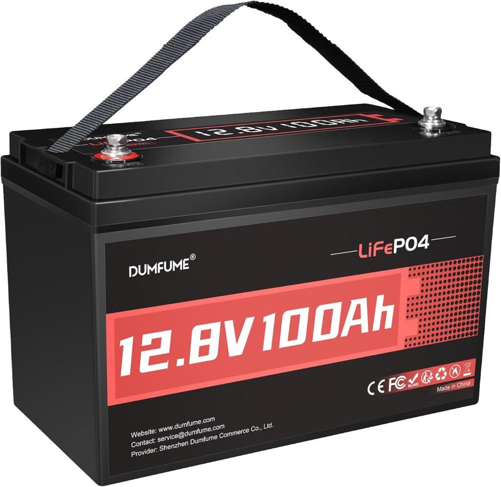 12V 100Ah LiFePO4 Battery Group Lithium Battery 100A BMS