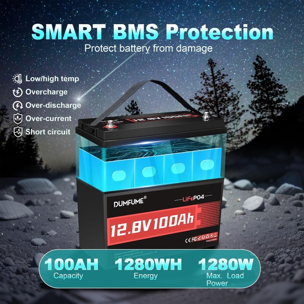 12V 100Ah LiFePO4 Battery Group Lithium Battery 100A BMS