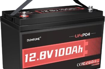 DUMFUME 12V 100Ah LiFePO4 Battery Group 31 Lithium Battery 100A BMS