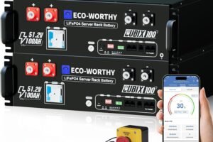 ECO-WORTHY Cubix100 48V 200Ah LiFePO4 Lithium Battery (2 Pack 48V 100AH)