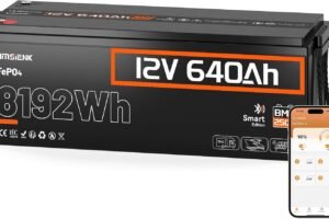 HumsiENK 12V 640Ah LiFePO4 Lithium Battery (250A BMS) with Bluetooth
