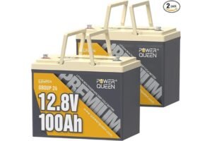 Power Queen 2-Pack 12V 100Ah LiFePO4 Battery Review