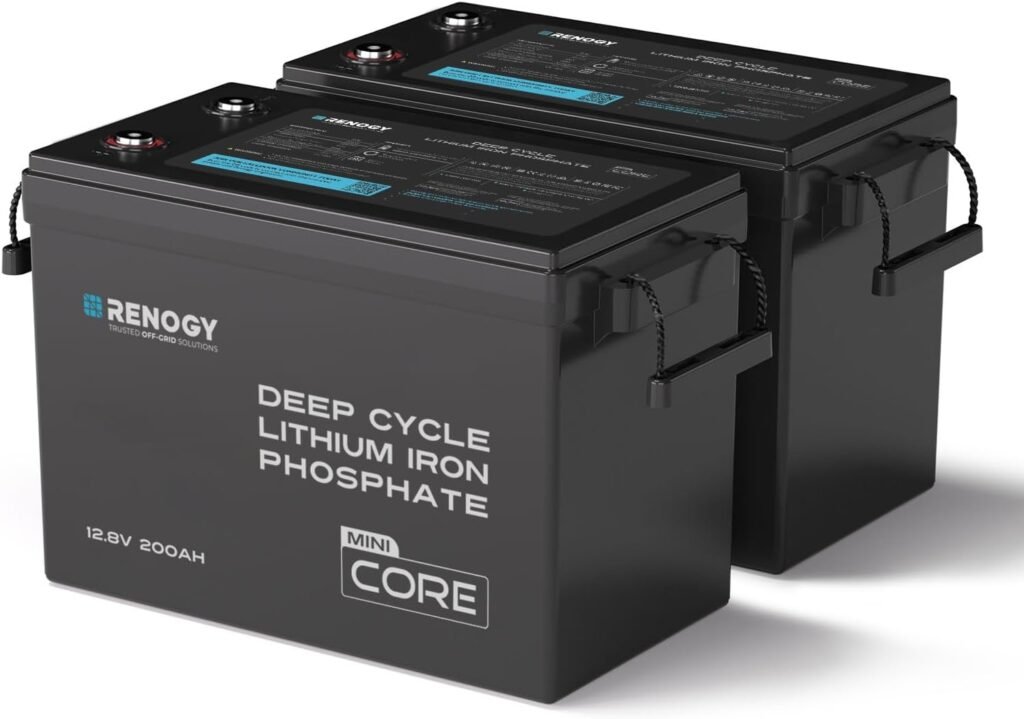 Renogy 100Ah LiFePO4 Lithium Battery, 12V Mini Size 100A BMS RV Boat 2PCS
