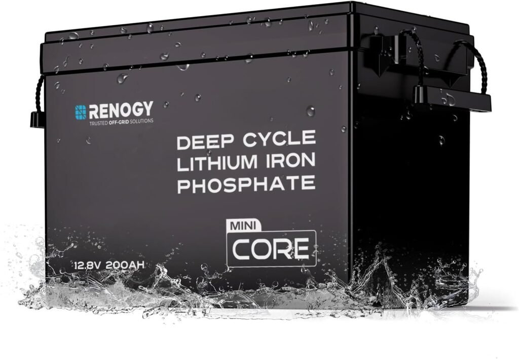 Renogy 100Ah LiFePO4 Lithium Battery, 12V Mini Size 100A BMS RV Boat 2PCS