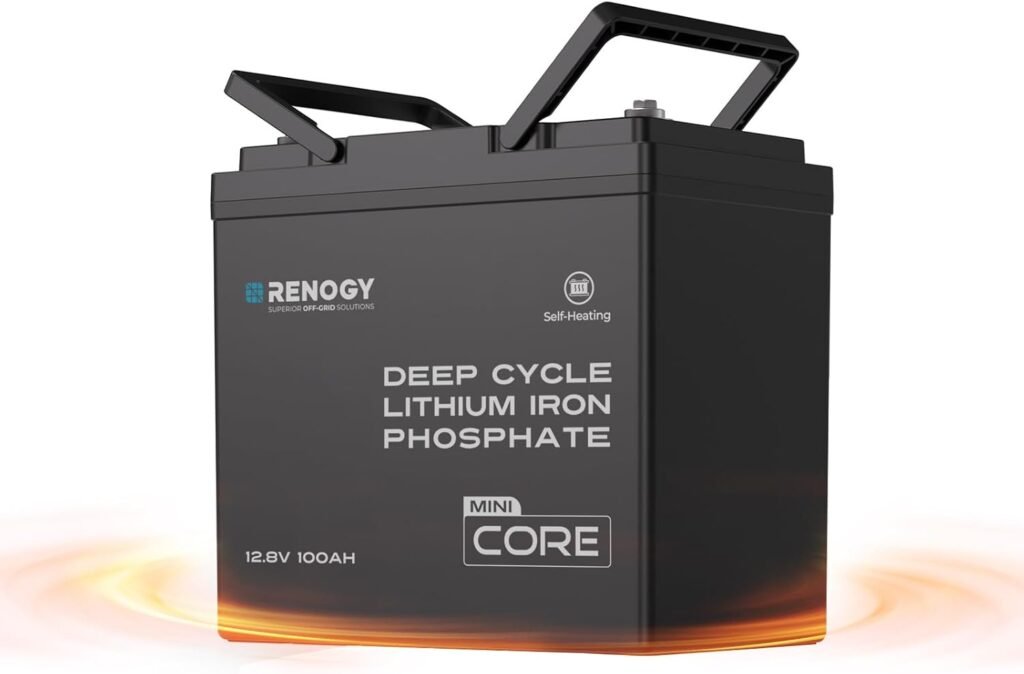 Renogy 100Ah LiFePO4 Lithium Battery, 12V Mini Size 100A BMS RV Boat 2PCS