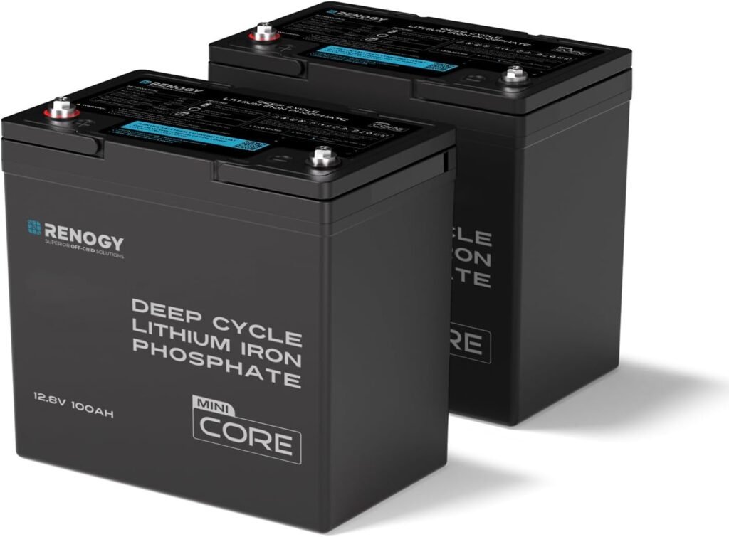 Renogy 100Ah LiFePO4 Lithium Battery, 12V Mini Size 100A BMS RV Boat 2PCS
